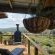 Renosterveld Eco Pods - 273141