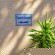 Lakeview Cabanas - Unit 5 - Property / Building
