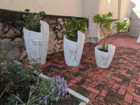Seagull Villa - Garden
