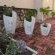 Seagull Villa - Garden