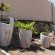 Seagull Villa - 273342