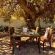 Vrede Villa - Garden