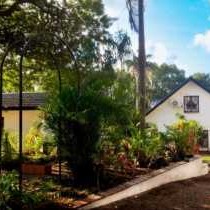 The Meadow Manor - Garden