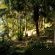 The Meadow Manor - Garden