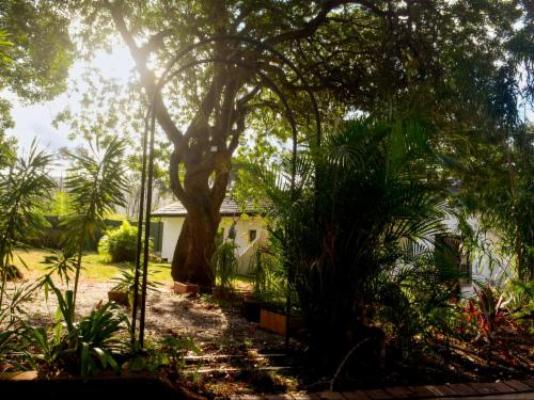 The Meadow Manor - Garden