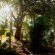 The Meadow Manor - Garden