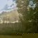 The Meadow Manor - Garden
