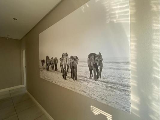Room image 7