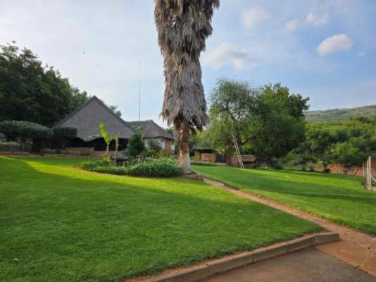 Losberg Lodge - Garden