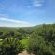 Losberg Lodge - Natural landscape
