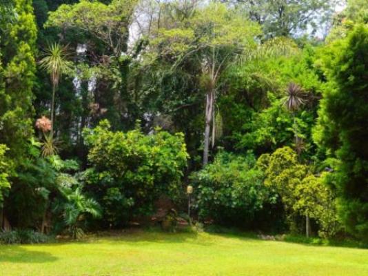 Guesthouse Charis - Garden