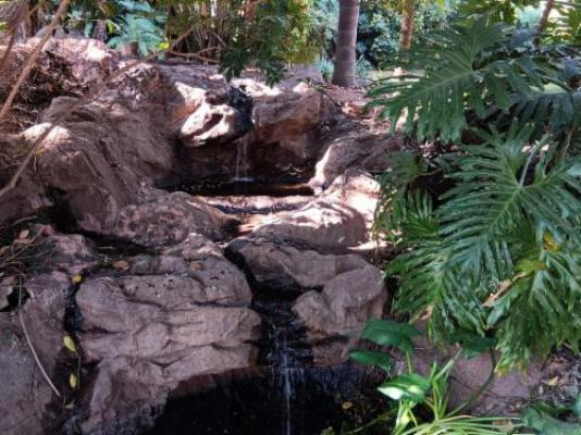 Guesthouse Charis - Garden