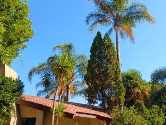 Guesthouse Charis - Garden