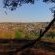 Guesthouse Charis - 273968