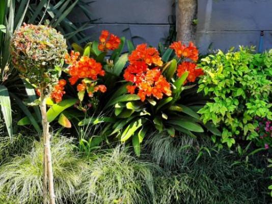 Eversview Guesthouse - Garden