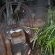 Eversview Guesthouse - Garden