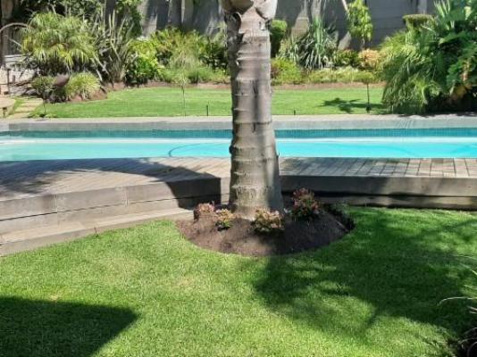 Eversview Guesthouse - Pool view
