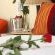 Eversview Guesthouse - 274093