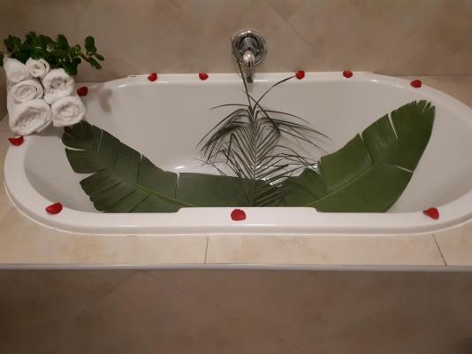 Eversview Guesthouse - 274112