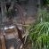 Eversview Guesthouse - 274118