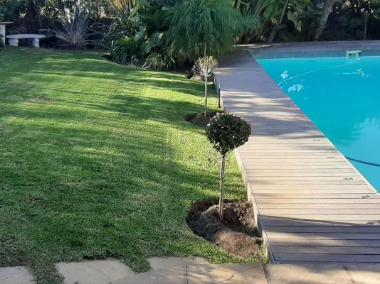 Eversview Guesthouse - 274120