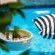 118 on Bayley and Bayley Boutique Guesthouse - Decorative detail
