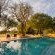 Inyati Game Lodge - 274298