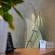 Silva Villa - 274312
