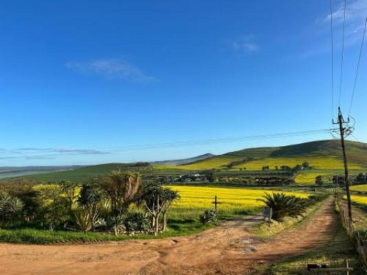 Anna Beulah Farm - Mountain view