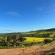 Anna Beulah Farm - Mountain view