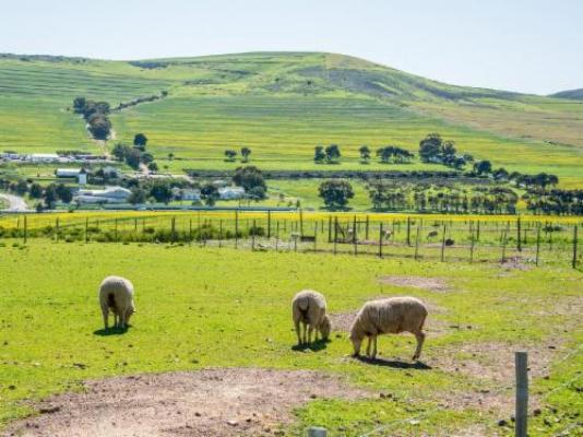 Anna Beulah Farm - Bird's eye view