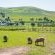 Anna Beulah Farm - Bird's eye view