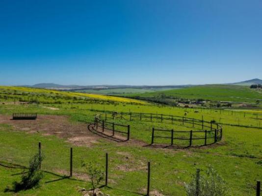 Anna Beulah Farm - Bird's eye view