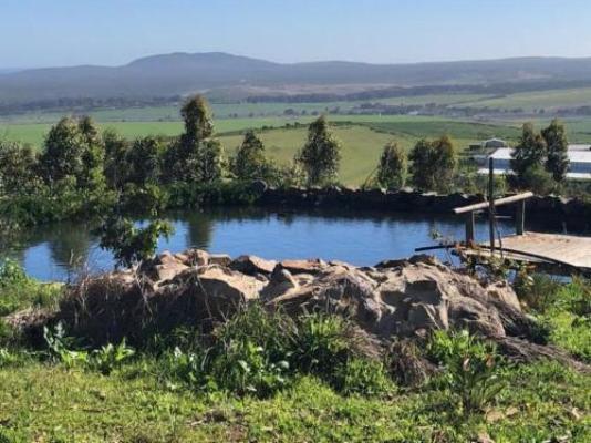 Anna Beulah Farm - Mountain view