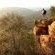 Lindani Game and Lodges - Mountain view