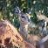 Lindani Game and Lodges - Natural landscape