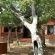 Lindani Game and Lodges - Property / Building