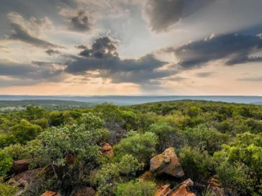 Lindani Game and Lodges - Natural landscape