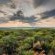 Lindani Game and Lodges - Natural landscape