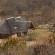 Lindani Game and Lodges - Property / Building