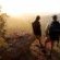 Lindani Game and Lodges - Natural landscape