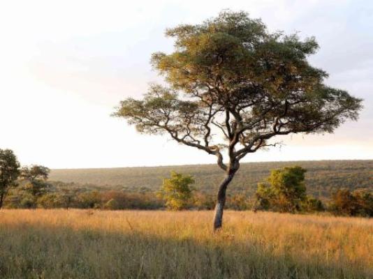 Lindani Game and Lodges - Natural landscape