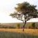 Lindani Game and Lodges - Natural landscape