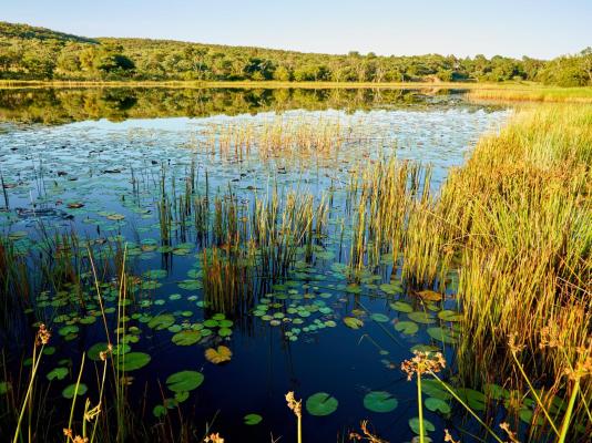 Lindani Game and Lodges - 274748