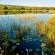Lindani Game and Lodges - 274748