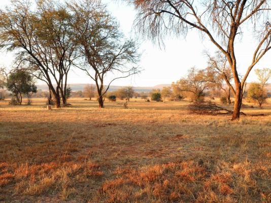 Lindani Game and Lodges - 274781