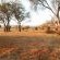 Lindani Game and Lodges - 274781