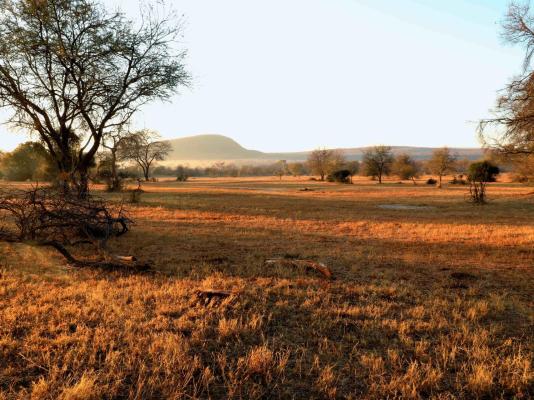 Lindani Game and Lodges - 274782