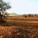 Lindani Game and Lodges - 274782