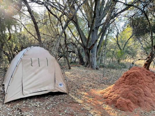 Lindani Game and Lodges - 274787